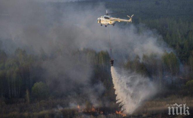 Пожарникари спасиха от огнен ад 1000 декара общинска гора край сливенското село Глушник