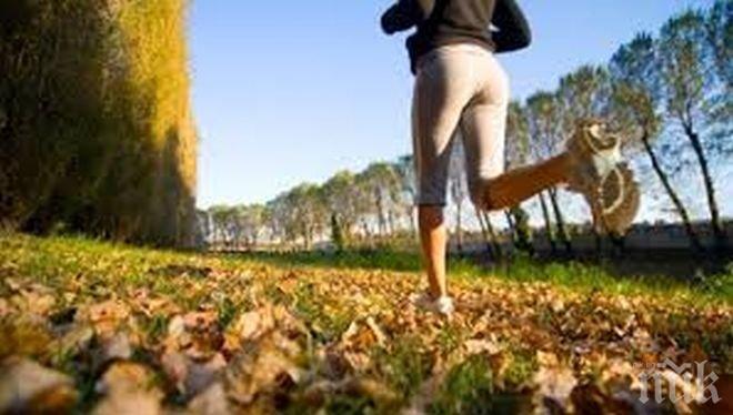 Предновогодишна треска! Кои са 116 безплатни неща, които трябва да правите през 2016 г. 