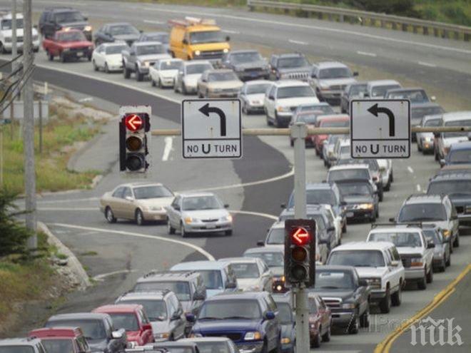 Близо 58 млн. големи дървета в Калифорния са заплашени от сушата