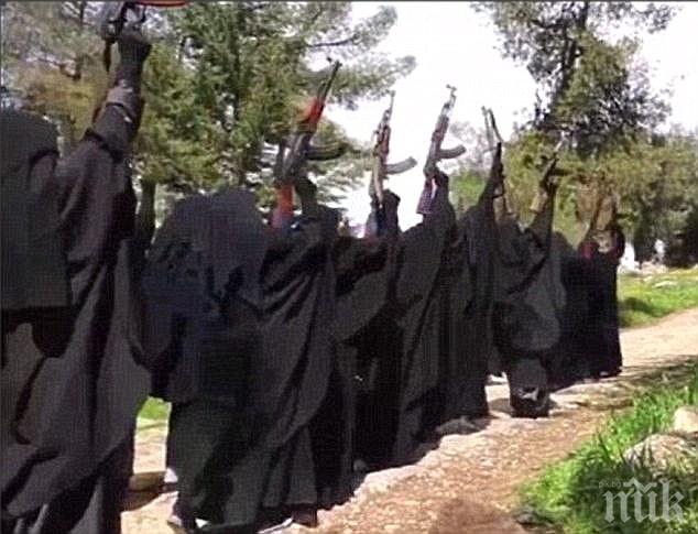 Турция задържа трима души за връзки с ИД