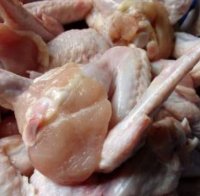 Беларус спря вноса на пилета от България