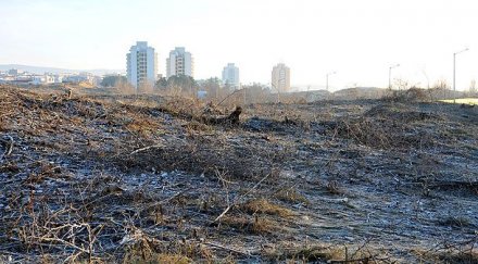 съдбата корал ръцете прокурорите