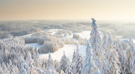 минус градуса изненадват февруари