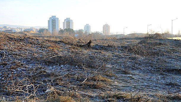 Съдбата на Корал в ръцете на прокурорите