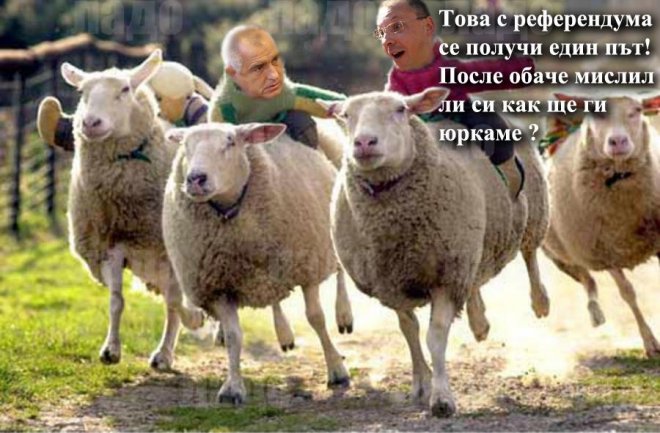 Страна няма, мафията я приватизира