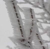 Около 10 см е снежната покривка в курорта Юндола край Велинград
