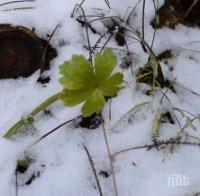В първия работен ден за годината снегът спира! Студовете продължават, температурите остават минусови