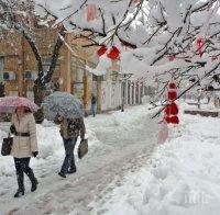Снежен капан в половин България, населени места са без ток, училища в дървена ваканция! Вижте как стихията парализира цялата страна!
