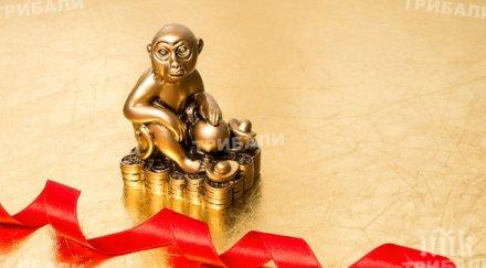 годината огнената маймуна донесе успех