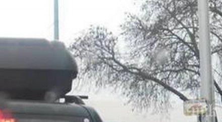 бум пикапи очаква януари