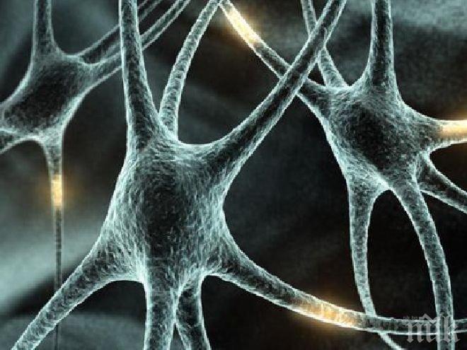 Десет гена контролират живота ни. Вижте кои са!