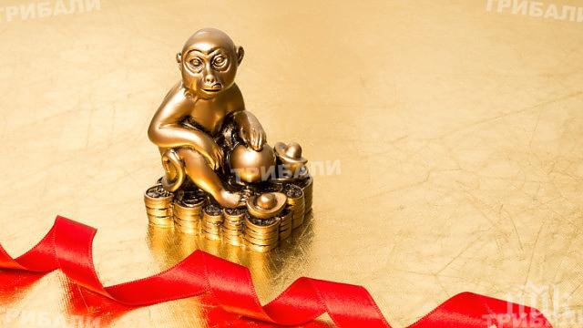 Годината на Огнената маймуна: Какво ще ви донесе успех