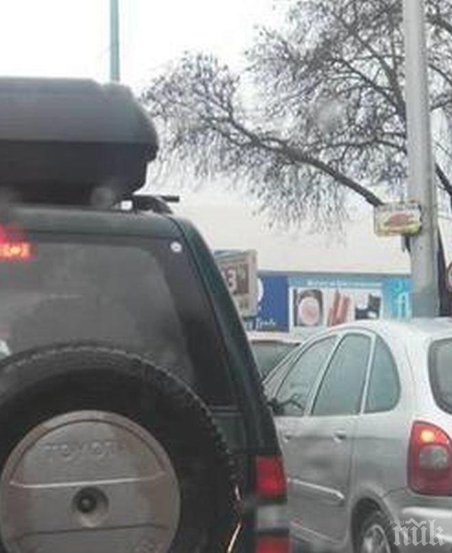 Бум на пикапи ни очаква още от януари