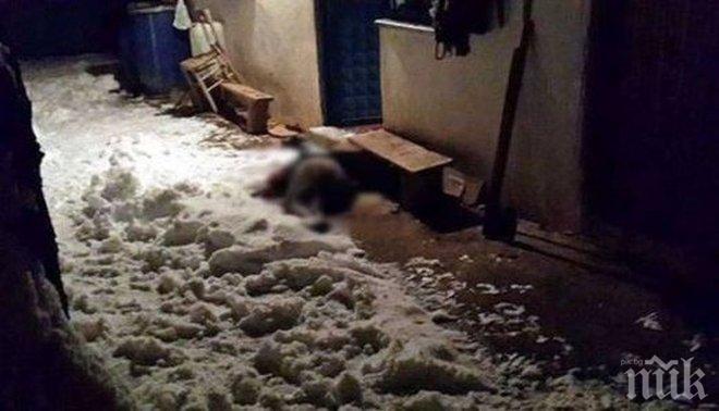 Баба почина, докато се опитва да спаси болния си старец