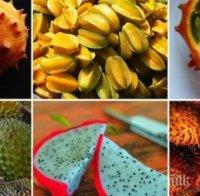 Най-странните плодове в света могат да ви избавят от скуката в храненето! Вижте кои са!