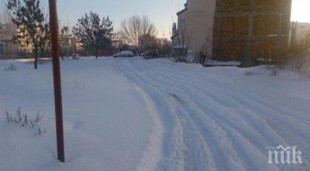 бсп видин иска извънредно заседание общинския съвет заради снегопочиставането