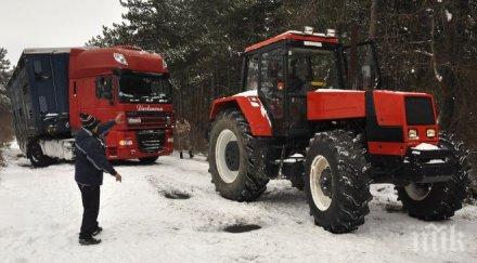 пик датски тир говеда закъса село стамболийски