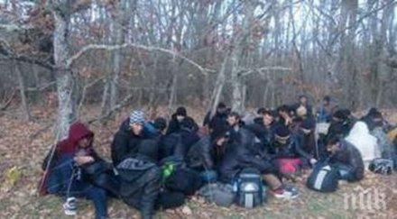 бежанската криза промени германския политически пейзаж