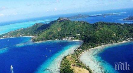 тайванският лувър отвори нов музей годишно чакане