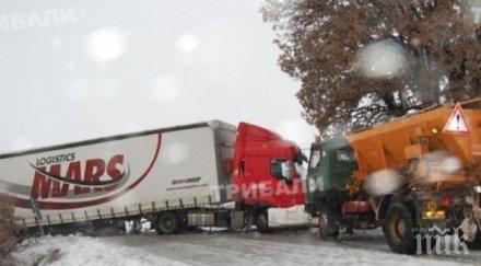 тир говеда закъса село стамболийски