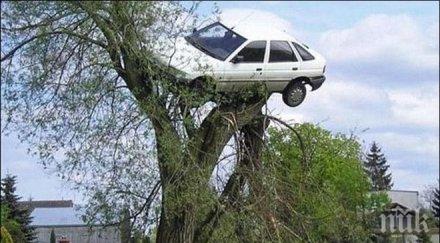 кола виси клоните дърво самоковско шосе инцидент