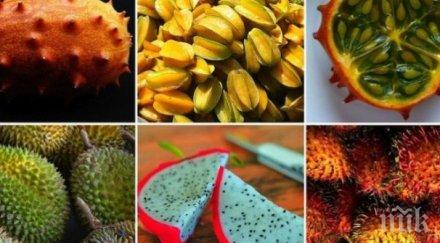 странните плодове света избавят скуката храненето вижте