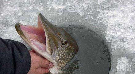 тънкият лед проваля риболова русия