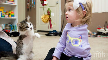 коте три крайника беше осиновено получи титлата добър приятел момиченце също