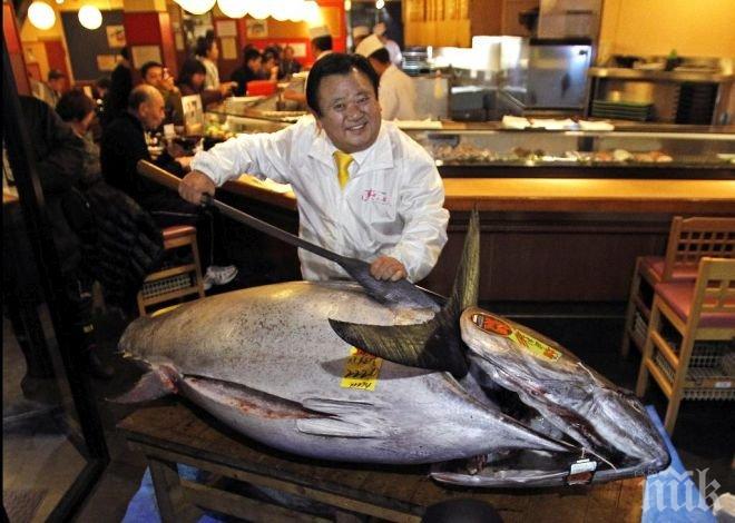 Бизнесмен плати 117 000 долара за една риба на търг в Токио