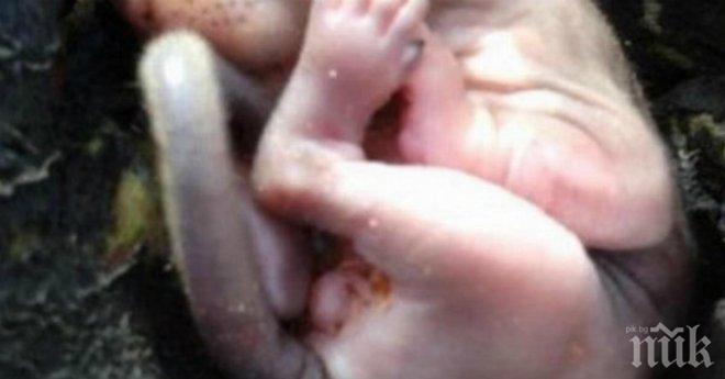 Той се накани да работи в градината си, когато намери това... Уникално събитие!