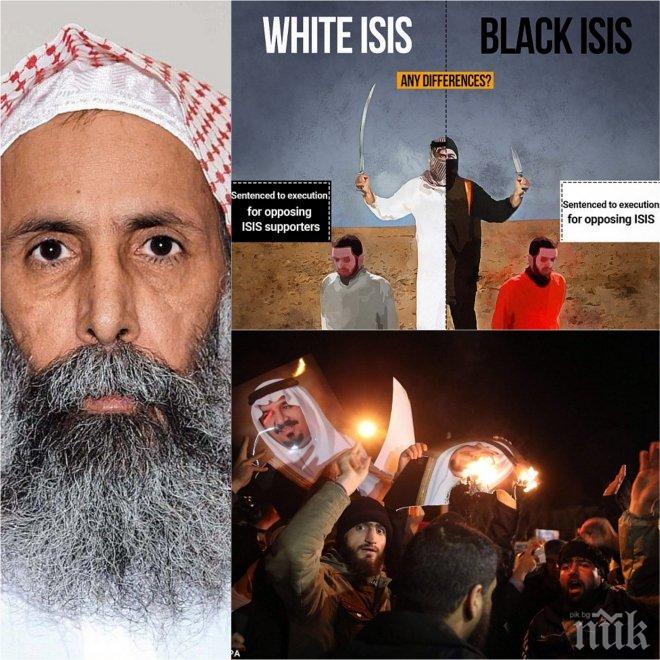 ЕКСКЛУЗИВНО в ПИК! Вижте как светът реагира на разразяващата се война между Саудитска Арабия и Иран! Ще има ли нови кръвопролития след обезглавяването на шиитския духовник Шейх Нимр Ал-Нимр (снимки и видео)