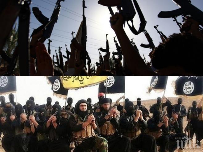 Идва краят на Ислямска държава! Терористите са загубили половината си територия през 2015 година