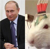 ЕКСКЛУЗИВНО в ПИК! Путин разкрива тайното си оръжие срещу 