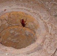 ПИК TV: Майка намери хлебарка в бурканчето храна от млечната кухня