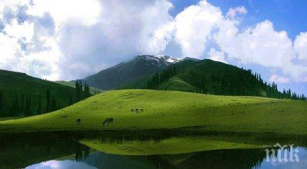 директорка похарчи 000 лева зеленина