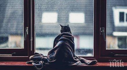 снимки силни всеки антидепресант погледни задължително оправи настроението