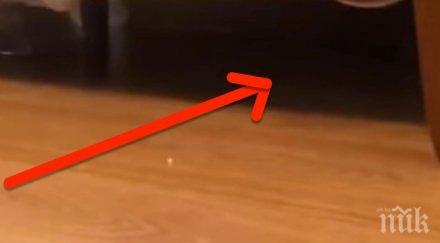 гледай внимателно пухкавата атака идва секунди