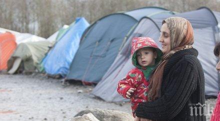 студ скова бежански лагер латакия хиляди бедстват