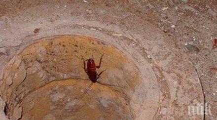 пик майка намери хлебарка бурканчето храна млечната кухня