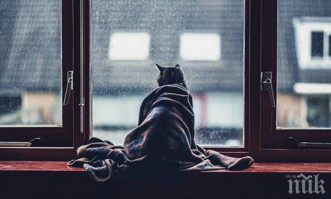 15 снимки, които са по-силни от всеки антидепресант! Погледни ги задължително и оправи настроението си!