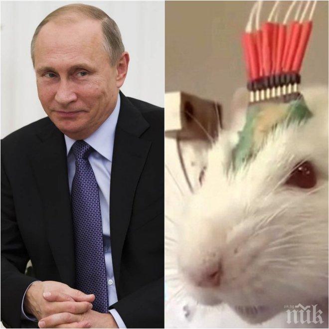 ЕКСКЛУЗИВНО в ПИК! Путин разкрива тайното си оръжие срещу Ислямска държава! Терористите са обречени! (видео)