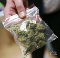 Ченгетата трашиха за наркотици в Бяла Слатина