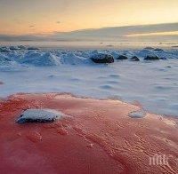 Кървав сняг падна по крайбрежието на Естония