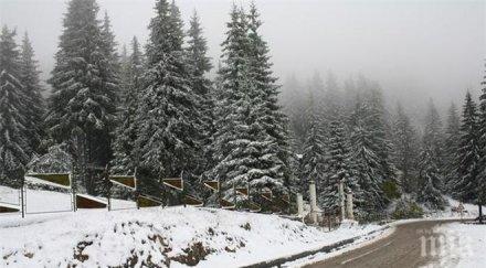 мъглива събота уикендът стартира студ живакът достигне 12°