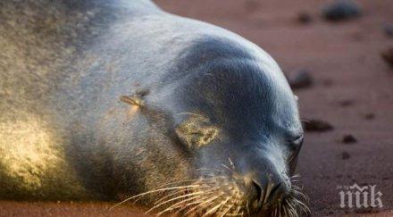 кораб блъсна кит бреговете южна корея четирима души пострадали