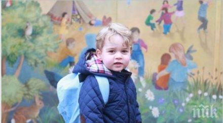 кейт уилям пратиха джордж градина