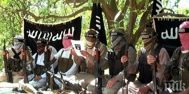 Групировката „Провинция Синай“ е поела отговорността за взрива, който прекъсна газопровод от Египет за Йордания