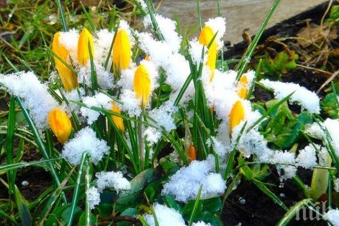 Януарската пролет настъпва! Температурите се покачват, облачността изчезва