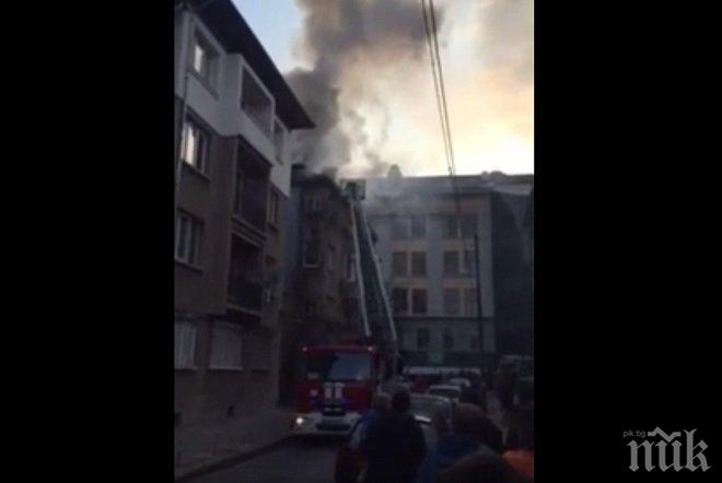 Германия не потвърждава неин гражданин да е ранен при атаката в Египет