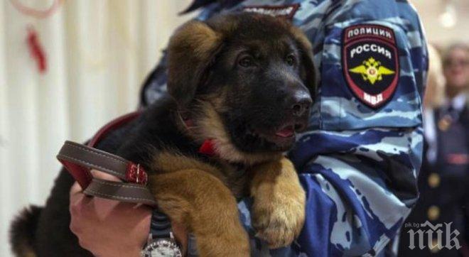 Кученцето Добриня пристигна във Франция
